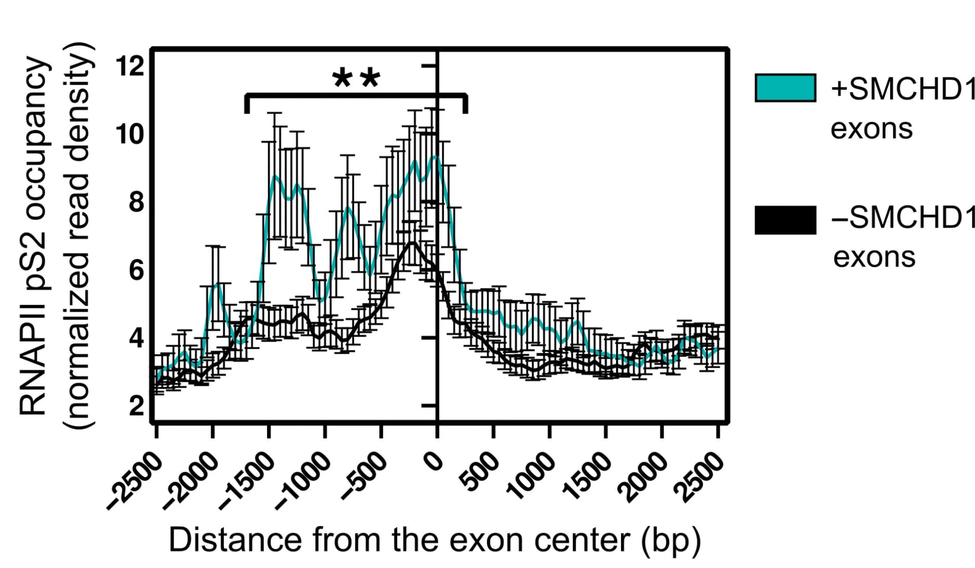 Open access visualization of Line Plot, Error Bars, Smchd1, Elongation Rate, RNAPII