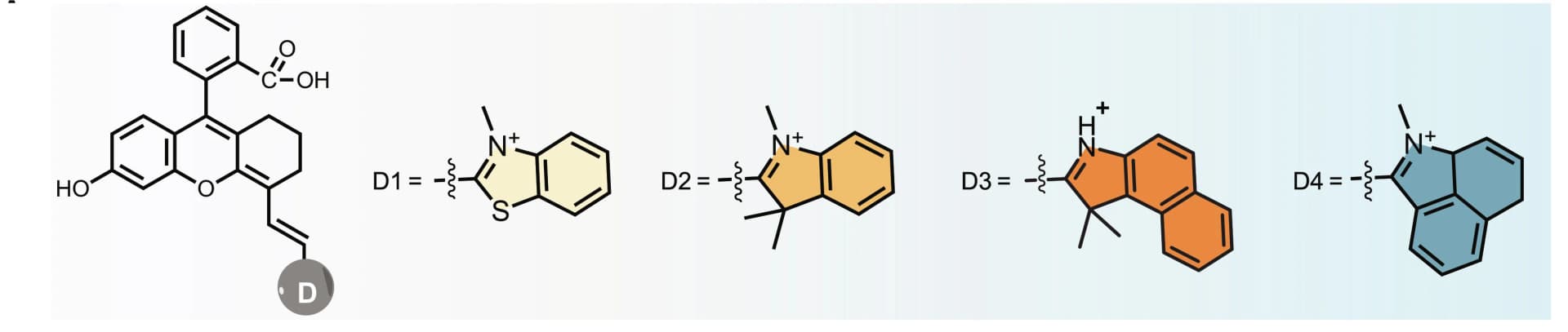 Open access visualization of Chemical Structure, Rhodamine, Polymethine Dyes, NIR-II Emission