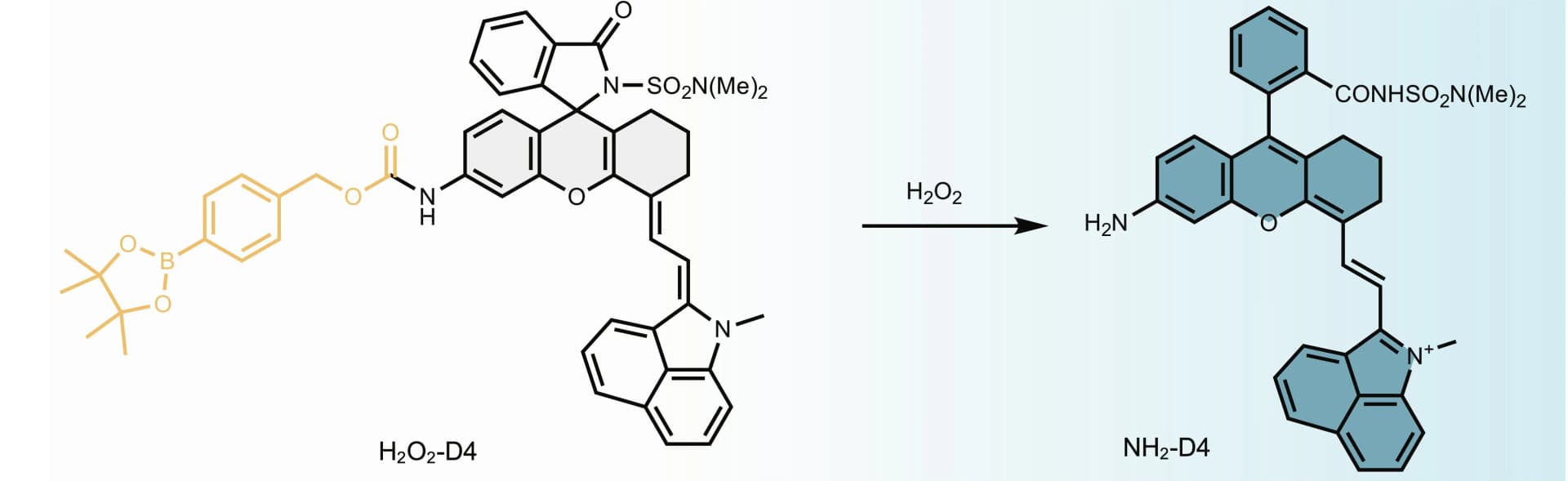 Open access visualization of Chemical Structure, Activatable Probe, H2O2 Sensing, Proof-of-Concept