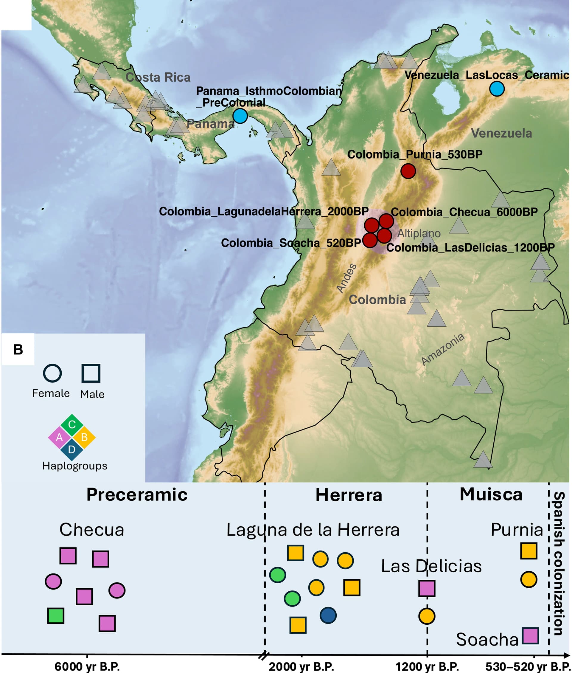 Open access visualization of Geo Map, Scatter Plot, Ancient Individuals, Modern Individuals, Geography