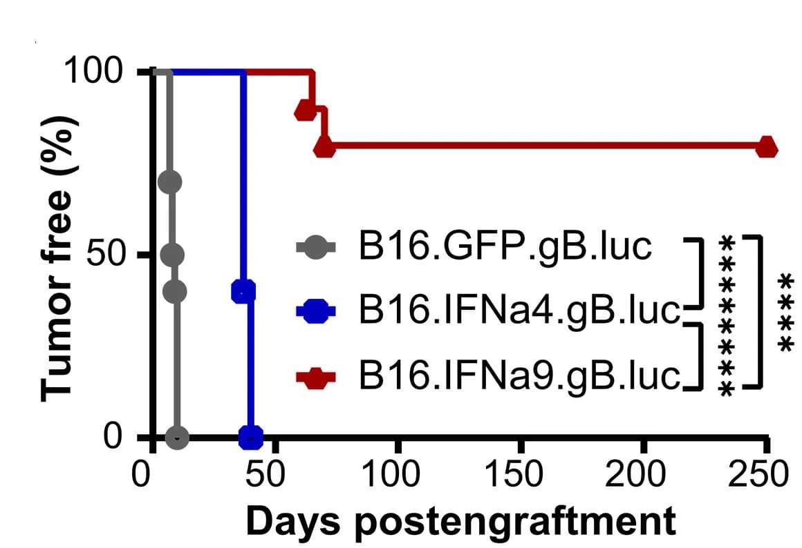 Open access visualization of Survival Curve, Line Plot, Survival, Growth Kinetics, IFN-I-Secreting Tumors