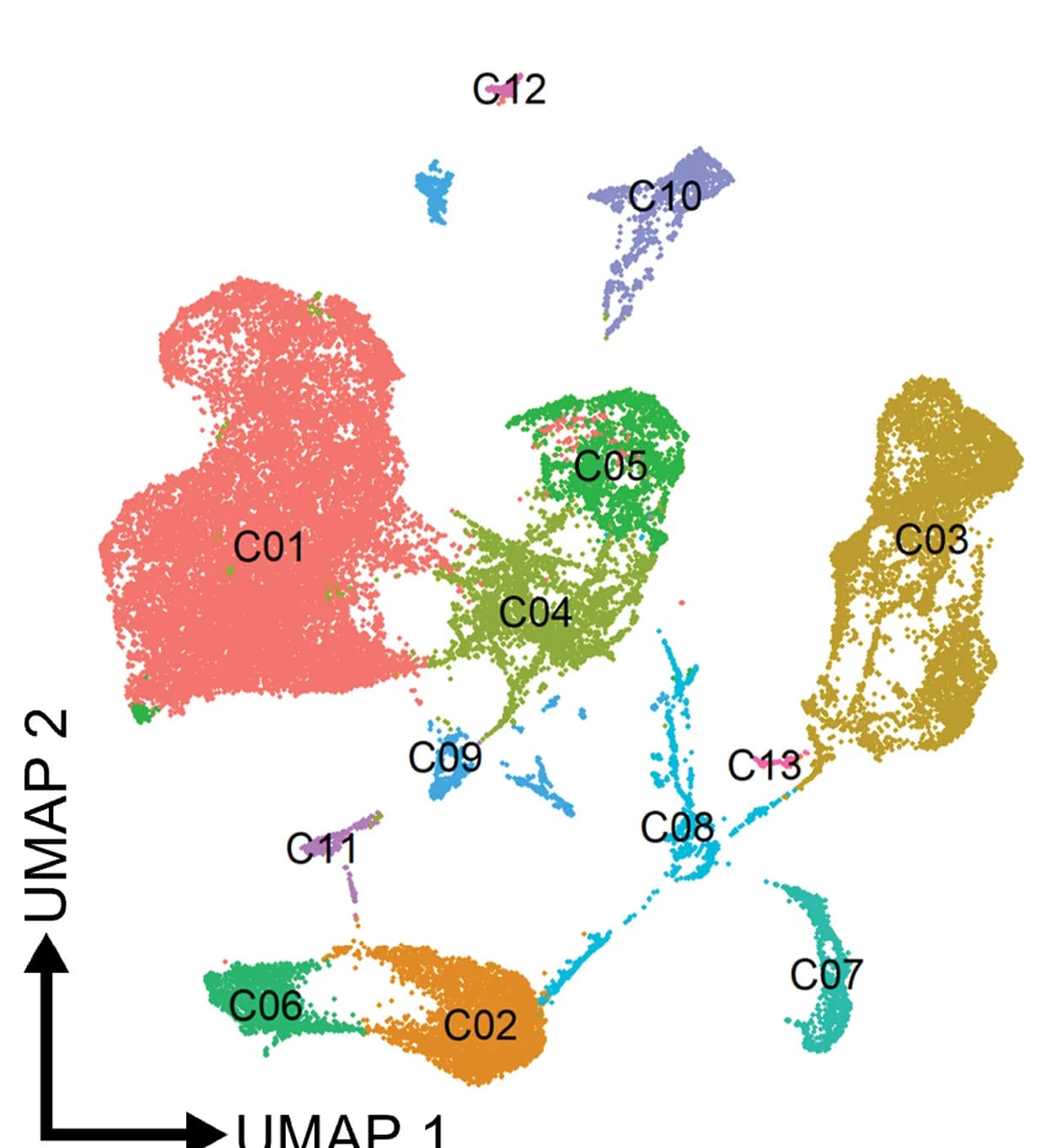 Open access visualization of Scatter Plot, UMAP, Single-Cell Transcriptomics, Tumors