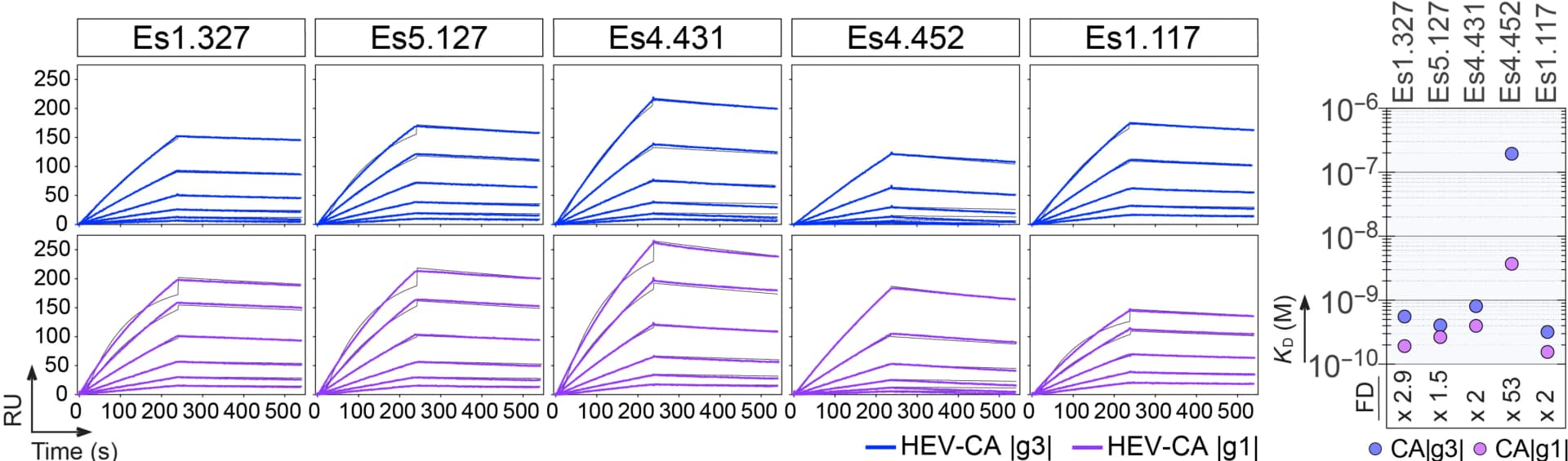 Open access visualization of Line Plot, Scatter Plot, Antibodies, Binding