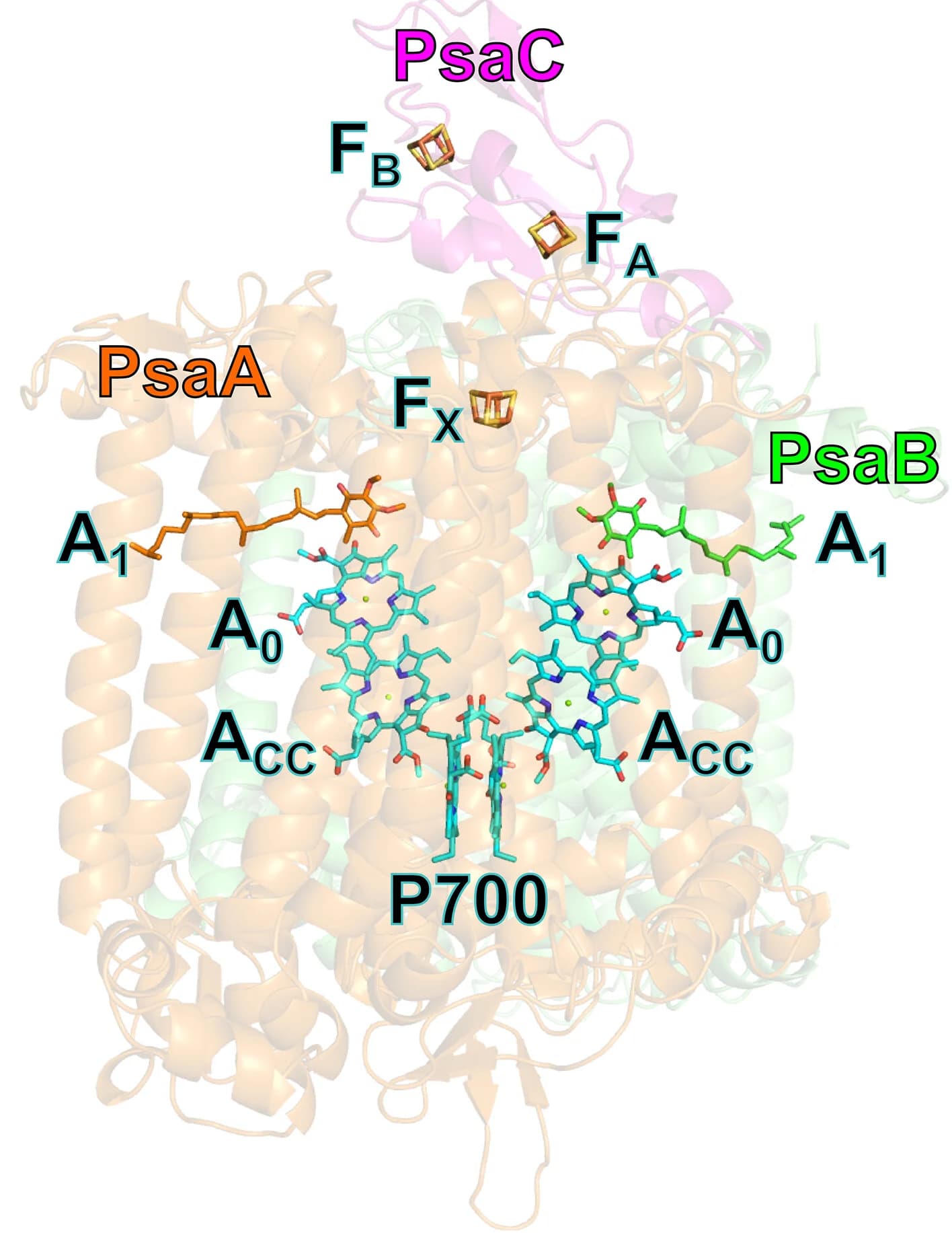 Open access visualization of Protein Structure, Chemical Structure, Molecules