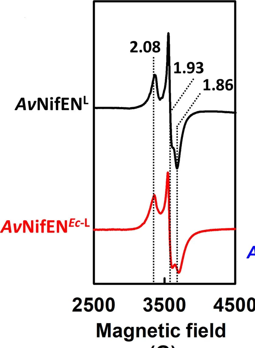 Open access visualization of Line Plot, Spectroscopic Characterization, NifEN, NifH