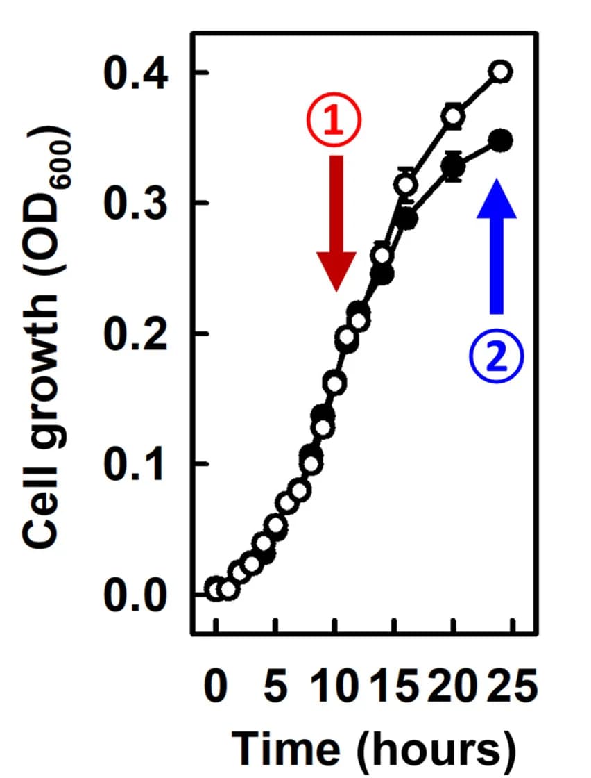 Open access visualization of Line Plot, Error Bars, Nitrogen Assimilation, E. Coli, NifH