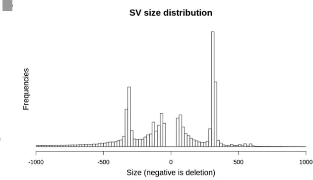 Open access visualization of Histogram, Insertions, Deletions, Rhesus Macaque, Genome