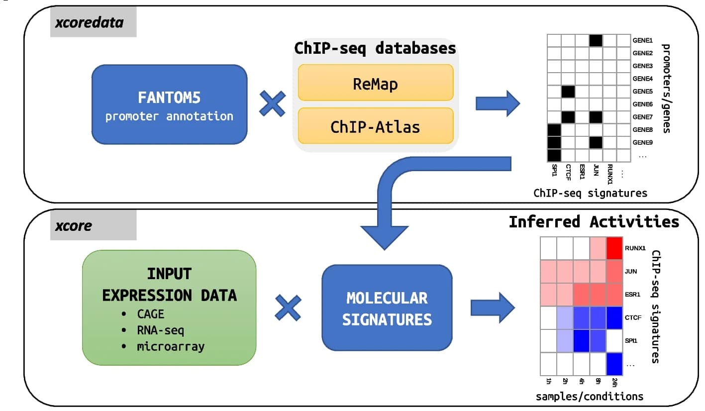 Open access visualization of Workflow, Flowchart, Heatmap, xcore, xcoredata