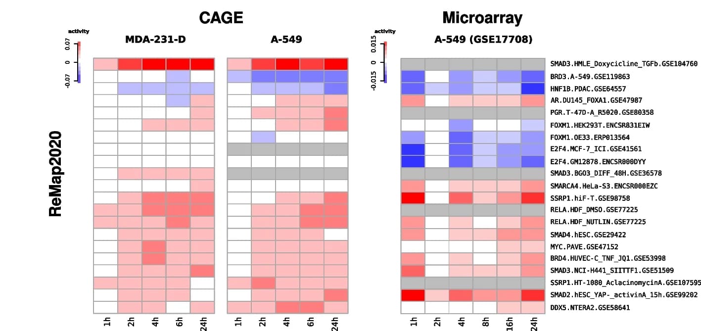 Open access visualization of Heatmap, TF activities, TGF induced EMT, CAGE data, Microarray data