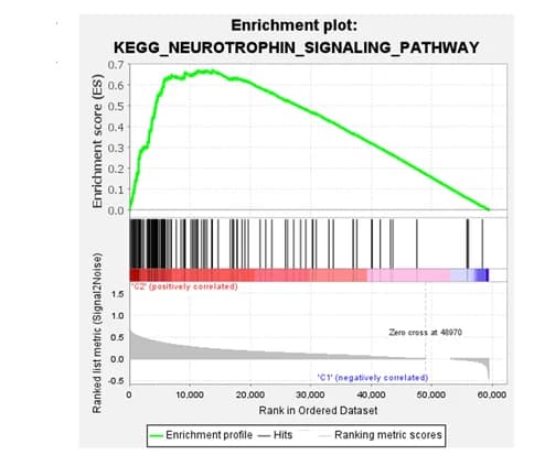 Open access visualization of Line Plot, Bar Plot, Gene Set Enrichment Analysis, Tumor Markers, High-Risk Group