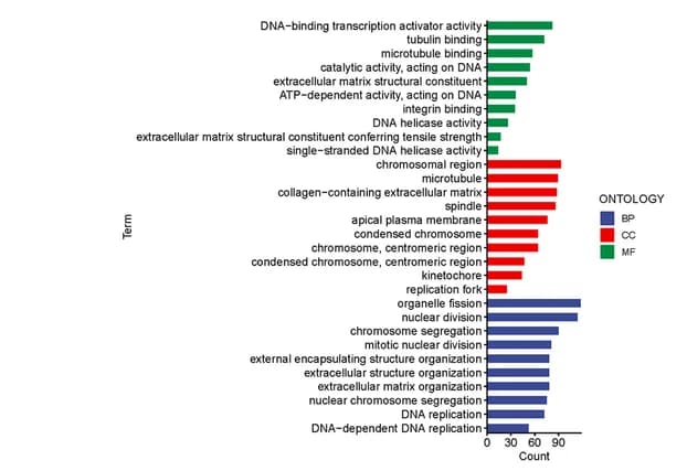 Open access visualization of Bar Plot, GO Analysis