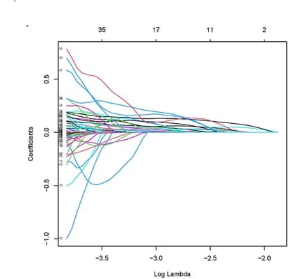 Open access visualization of Line Plot, LASSO Regression Model, lncRNAs, Cuproptosis