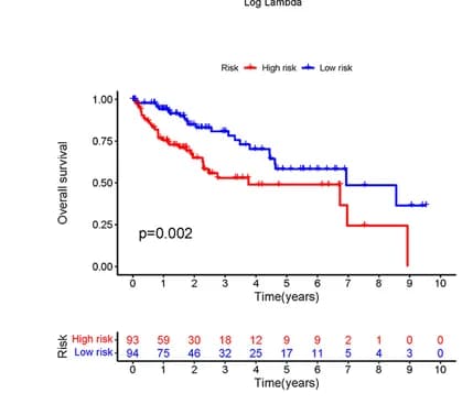 Open access visualization of Survival Curve, Line Step, K-M Survival Analysis, Overall Survival, Prognosis