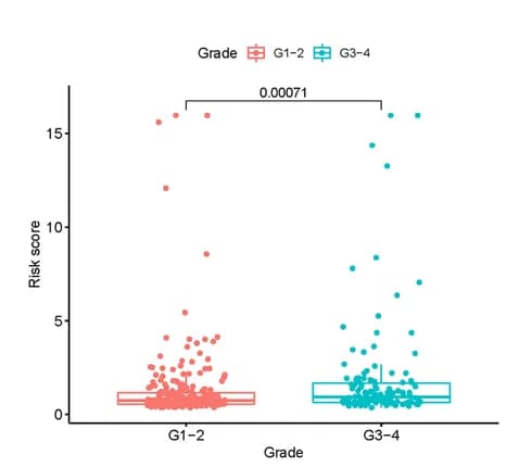 Open access visualization of Box Plot, Scatter Plot, Raincloud Plot, Clinical Correlation, Risk Score