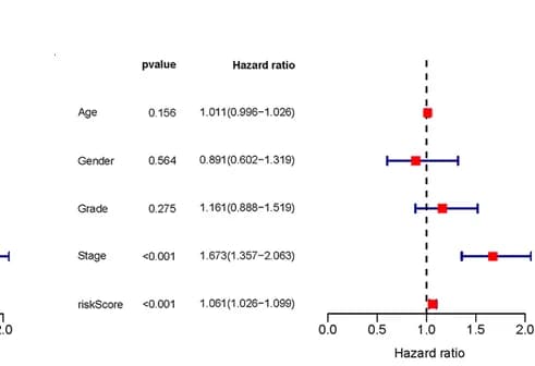 Open access visualization of Forest Plot, Error Bars, Multivariate Cox regression analysis
