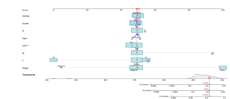 Open access visualization of Box Plot, Density Plot, Line Plot, Nomogram, lncRNA signature