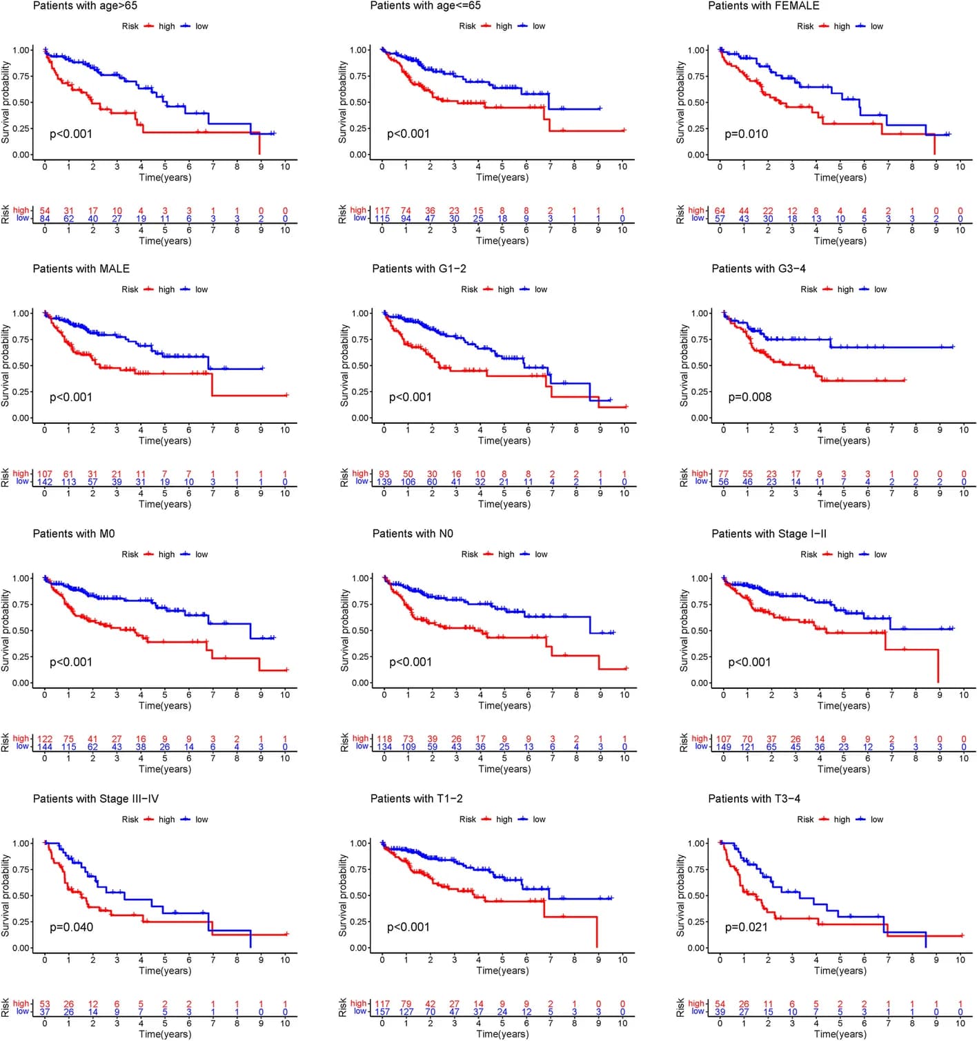 Open access visualization of Survival Curve, Survival Curves, Model Validation, Clinical Groups, Age