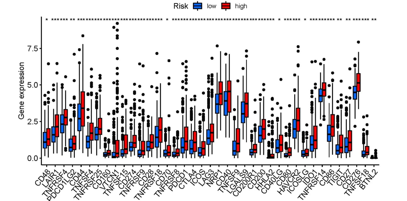 Open access visualization of Box Plot, Immune Checkpoint Genes, High-Risk Group, Low-Risk Group, Gene Expression