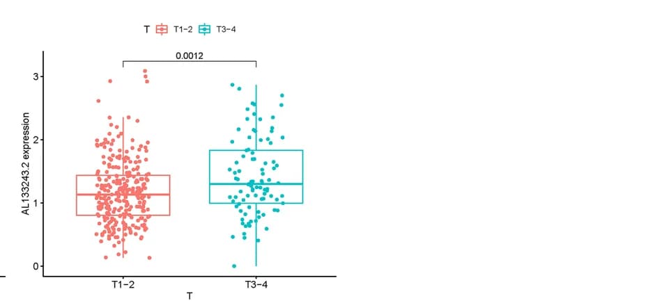 Open access visualization of Box Plot, Scatter Plot, AL133243.2 Expression, Clinicopathological Features, Female