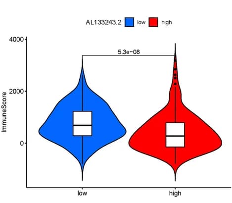 Open access visualization of Violin Plot, Box Plot, AL133243.2 expression, Tumor purity