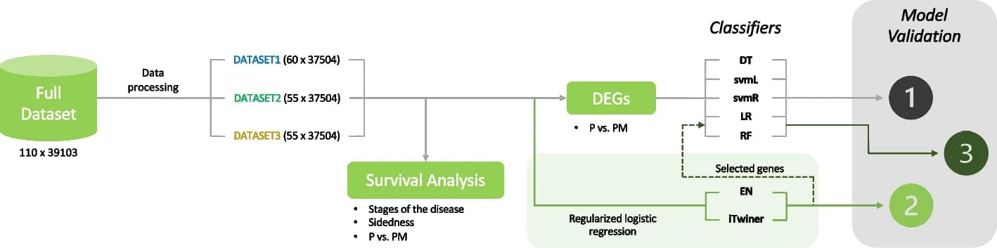 Open access visualization of Workflow, Flowchart, Illustration, Survival Analysis, Stages of Disease