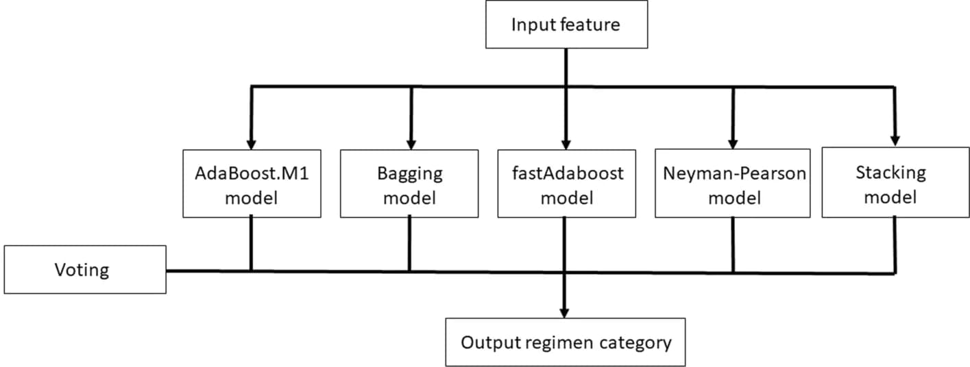Open access visualization of Workflow, Flowchart, Ensemble Strategy, Machine Learning, Prediction