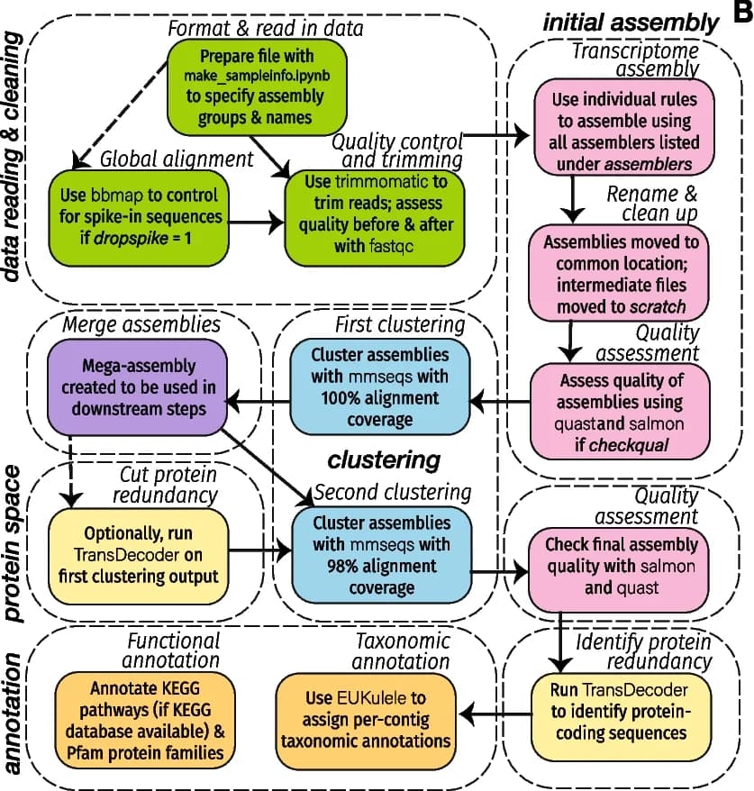 Open access visualization of Workflow, Flowchart, Euk rhythmic workflow, Pipeline steps, Assembly group