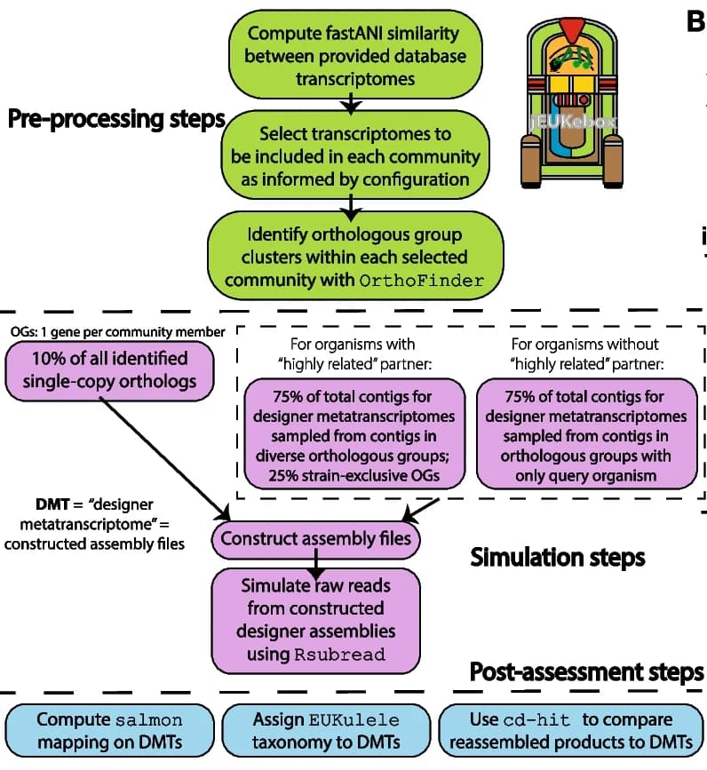Open access visualization of Workflow, Flowchart, jEUKebox workflow, environmental metatranscriptomes, transcriptomes