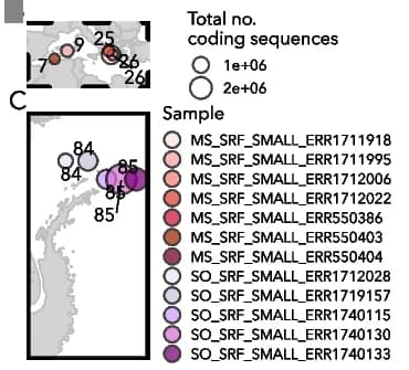 Open access visualization of Geo Map, Mediterranean Sea, Samples, Tara Oceans, Stations