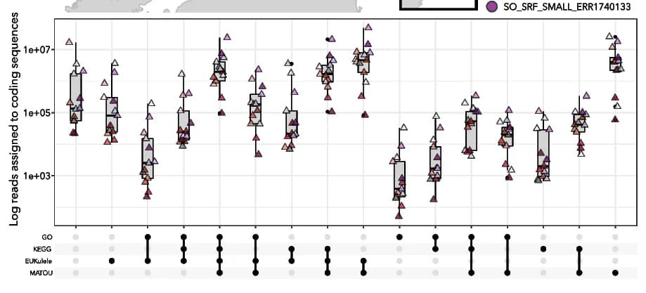 Open access visualization of Box Plot, Scatter Plot, UpSet, Assembler Overlap, Reads