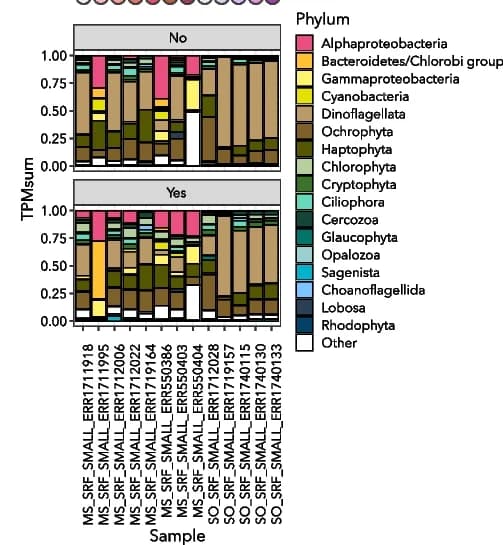 Open access visualization of Stacked Bar Plot, TPM, Coding Sequences, Taxonomic Annotations, Dinoflagellates