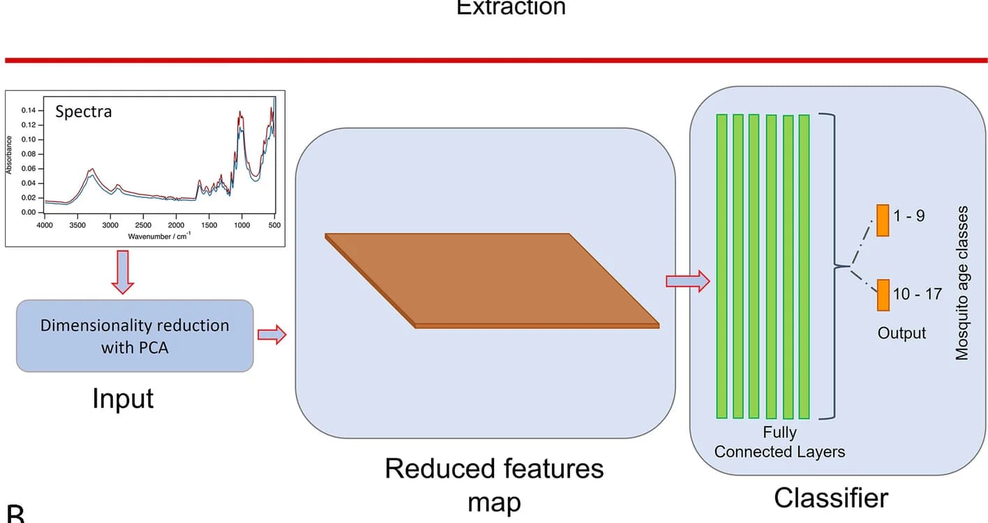 Open access visualization of Workflow, Line Plot, PCA, Deep Learning Models, Mosquito Spectra