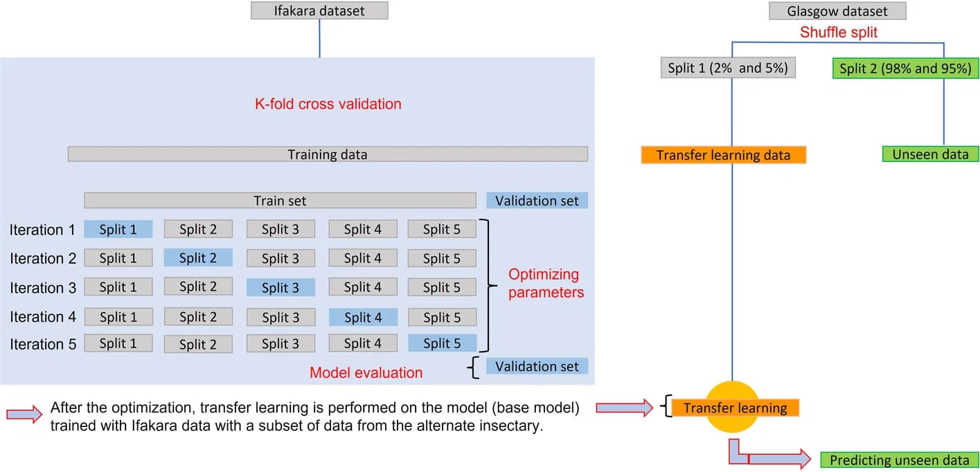 Open access visualization of Workflow, Flowchart, Data Splitting, Model Training, Cross-Validation