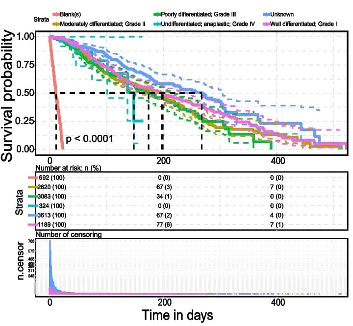 Open access visualization of Survival Curve, Histogram, Survival Analysis, SEER Database, Tumor Grade