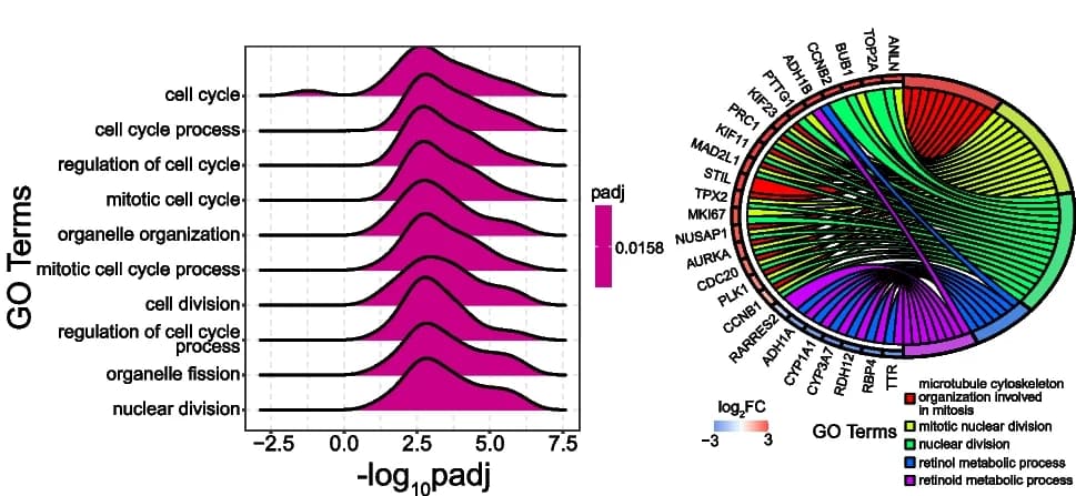 Open access visualization of Ridge Plot, Chord, Network, Gene Ontology, GO Terms
