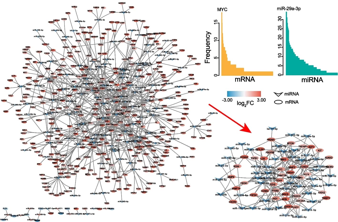 Open access visualization of Network, Bar Plot, miRNA-mRNA interaction network, Differentially Expressed RNAs, miRNAs