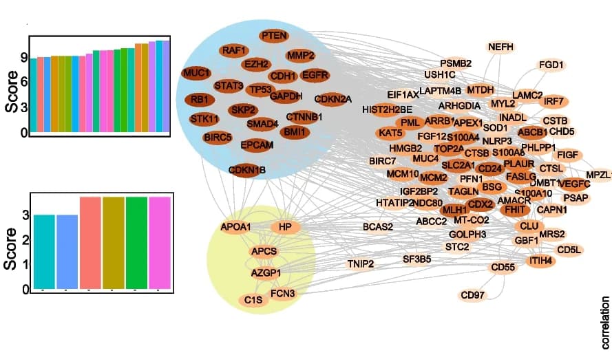 Open access visualization of Network, Bar Plot, PPI Network, GBC-associated Proteins, Clusters