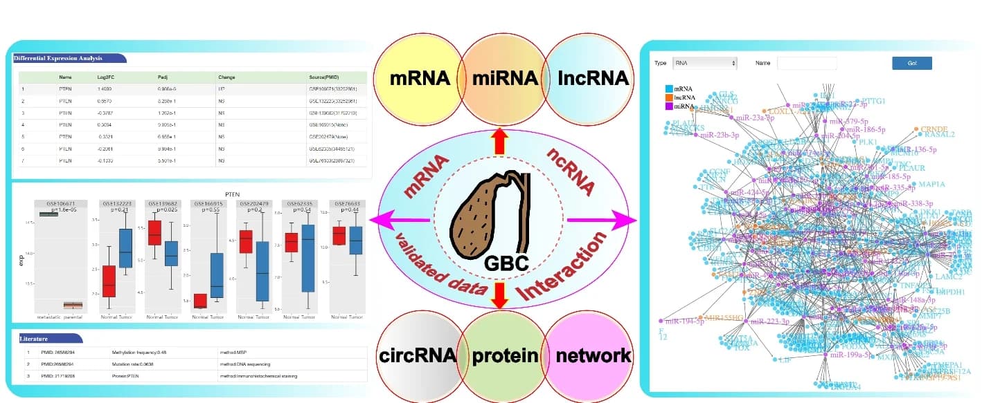 Open access visualization of Network, Box Plot, Table Image, GBCdb, mRNA