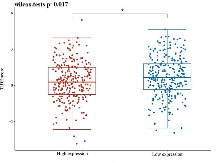 Open access visualization of Box Plot, Scatter Plot, Raincloud Plot, Immune Response, Immune Score