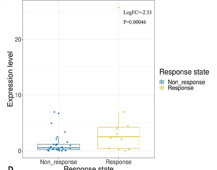 Open access visualization of Box Plot, Scatter Plot, NFE2, Immunotherapy Responders, Non-Responders