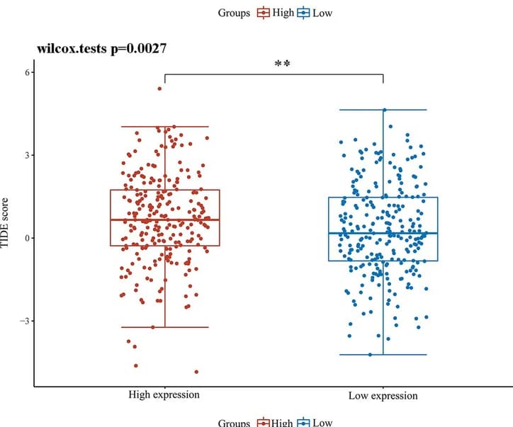 Open access visualization of Box Plot, Scatter Plot, Immune Response, Immune Score, HOXC8