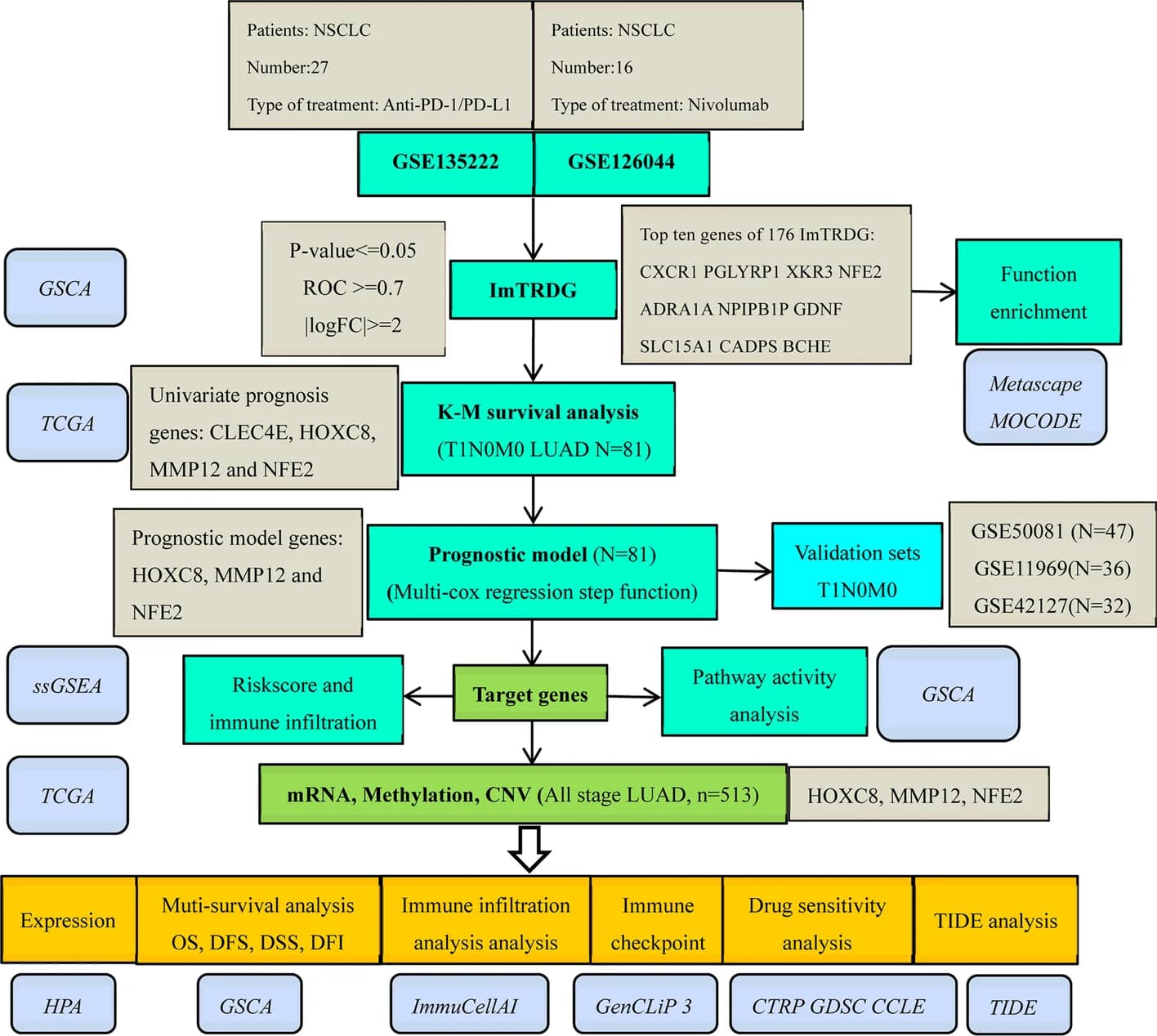 Open access visualization of Workflow, Flowchart, Research Process, Data Collection, Data Analysis