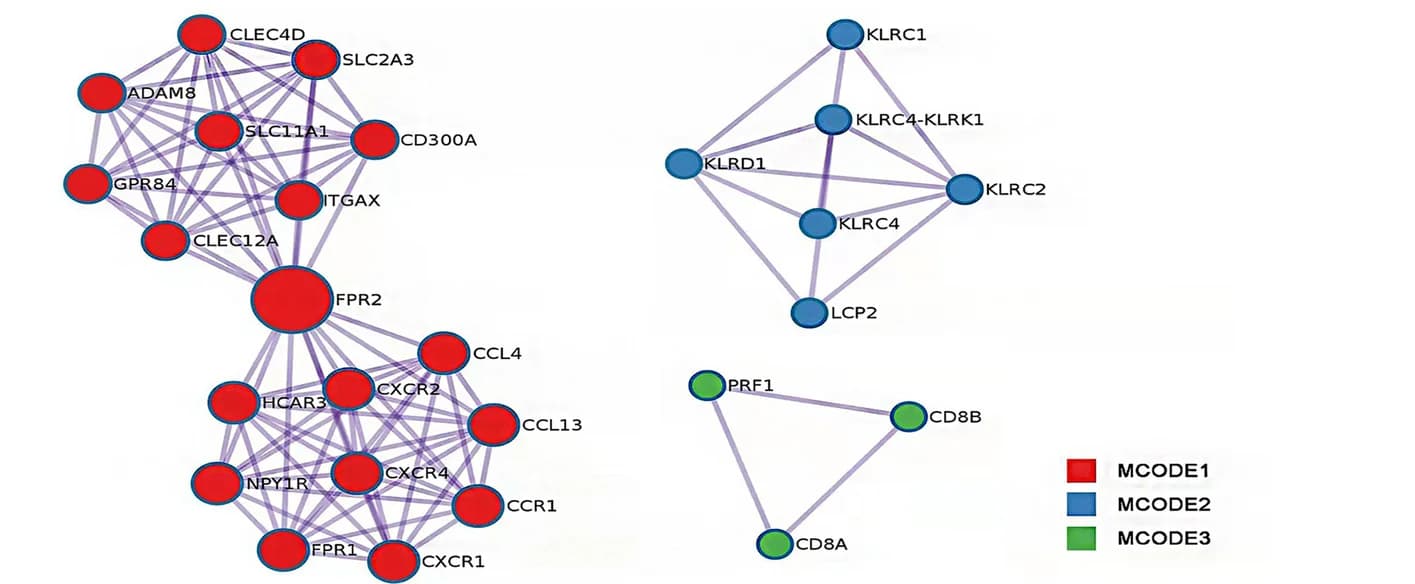 Open access visualization of Network, Pathway, PPI Network, MCODE Components