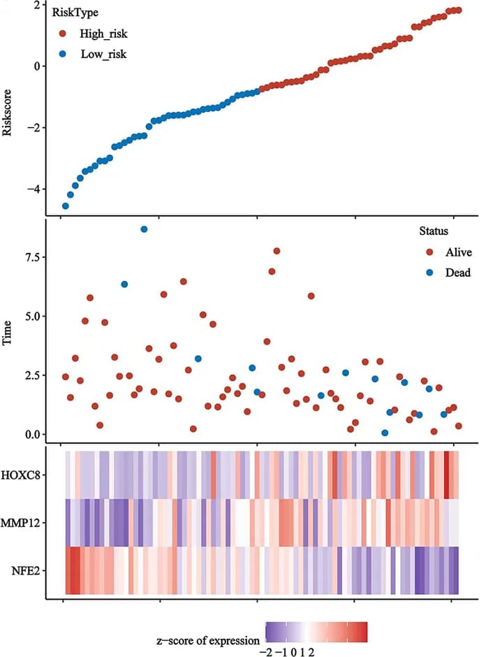 Open access visualization of Scatter Plot, Heatmap, Survival time, Survival status, Target gene