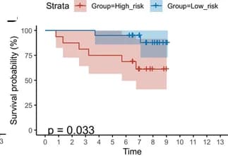 Open access visualization of Survival Curve, Error Bars, Line Step, KM Survival Curves, Prognostic Risk Model