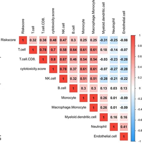 Open access visualization of Heatmap, Immune Infiltration, Risk Score, TCGA, LUAD