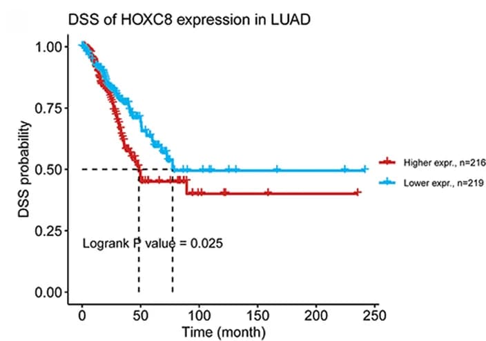 Open access visualization of Line Plot, Survival Curve, DSS, K-M curves, HOXC8