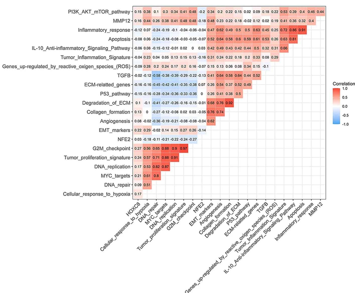 Open access visualization of Heatmap, Correlation heatmap, Gene expression, Pathway activity, ssGSEA