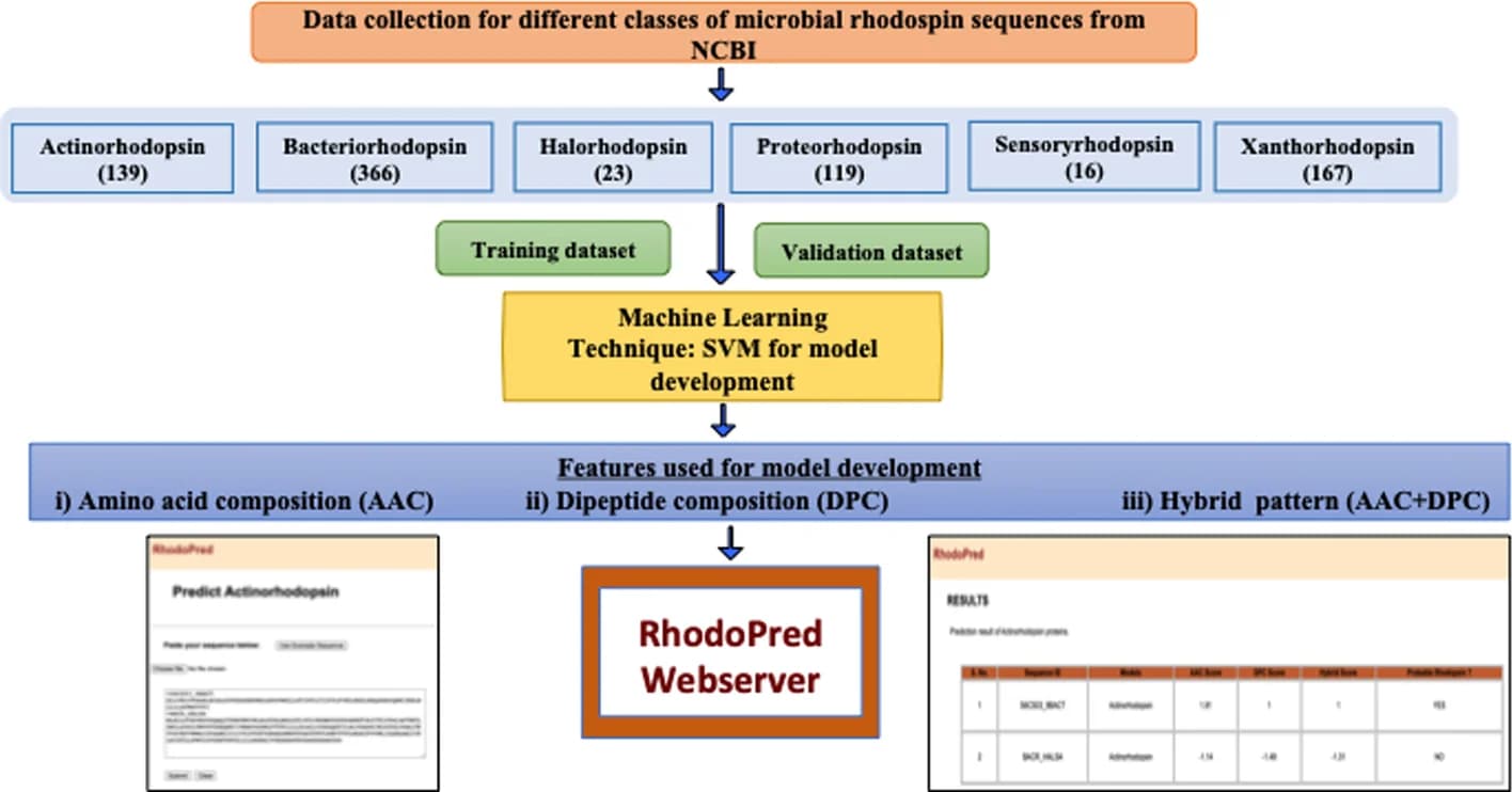 Open access visualization of Workflow, Flowchart, Table Image, Illustration, SVM