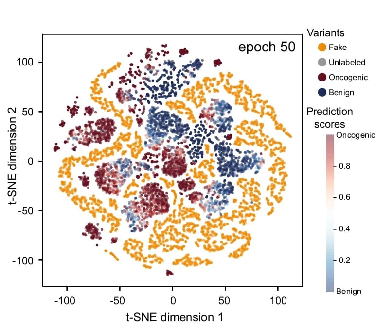 Open access visualization of Scatter Plot, UMAP, Unlabeled variants, Interpretation scores, Oncogenic